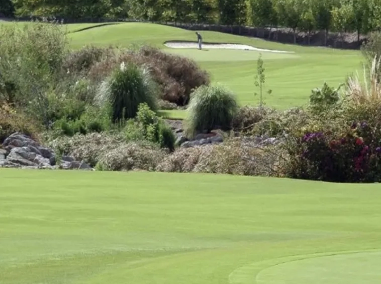 Terreno San Bartolomé de Tirajana - Salobre Golf